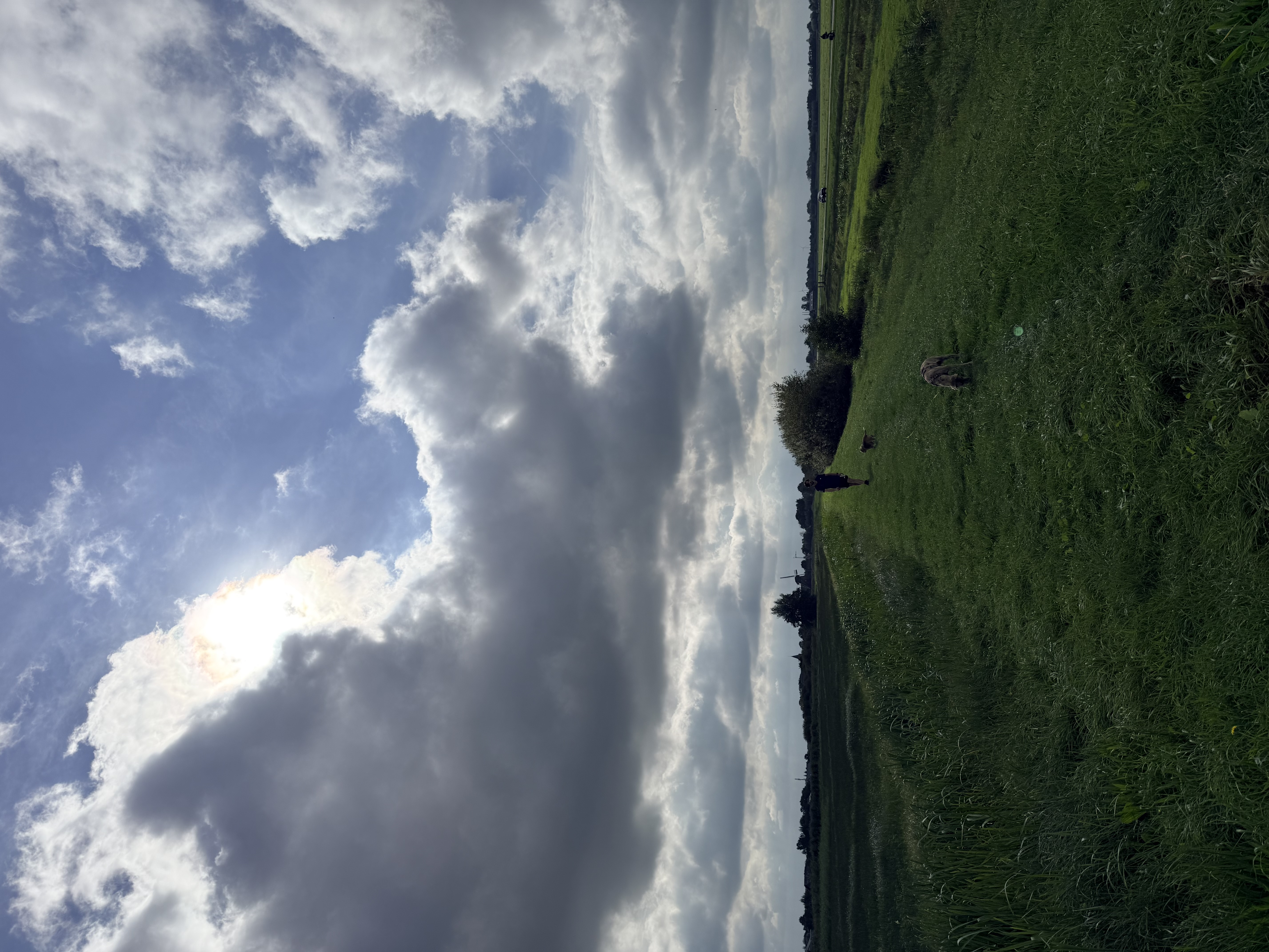 Uitzicht over de polder